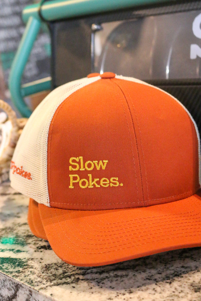 Slowpokes Hat- Modern Colorway